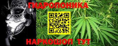 apvp Пенза