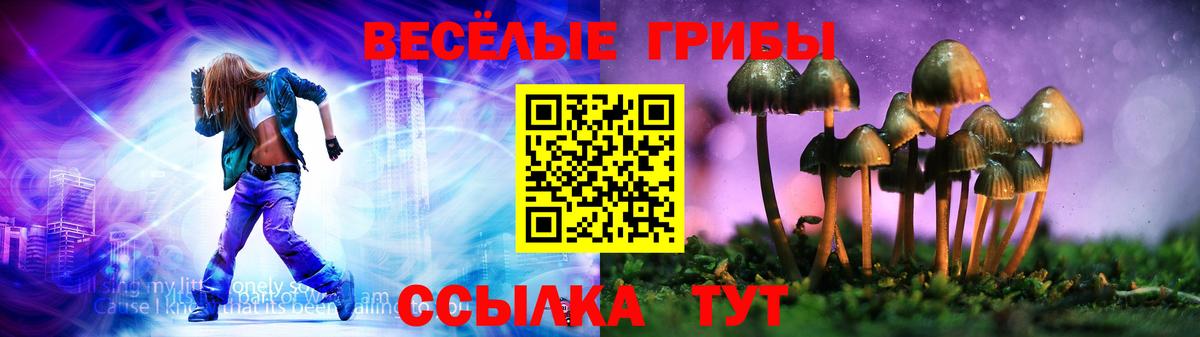 Галлюциногенные грибы Cubensis Томск